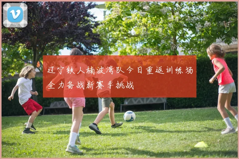 辽宁铁人楠波湾队今日重返训练场全力备战新赛季挑战