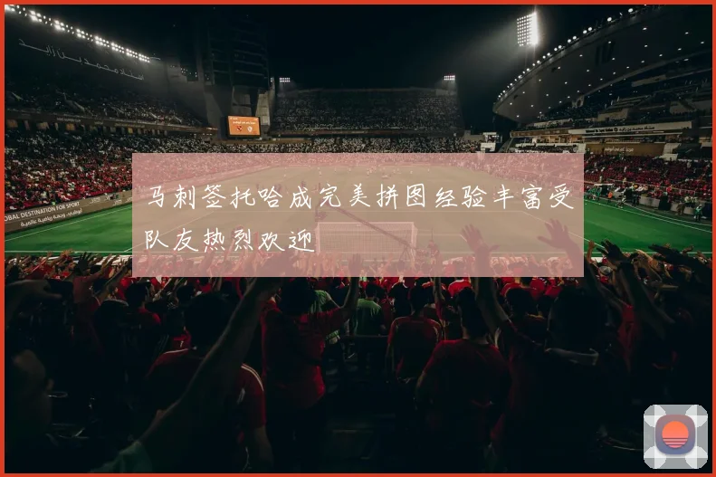 马刺签托哈成完美拼图经验丰富受队友热烈欢迎