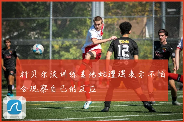 科贝尔谈训练基地蛇遭遇表示不怕会观察自己的反应